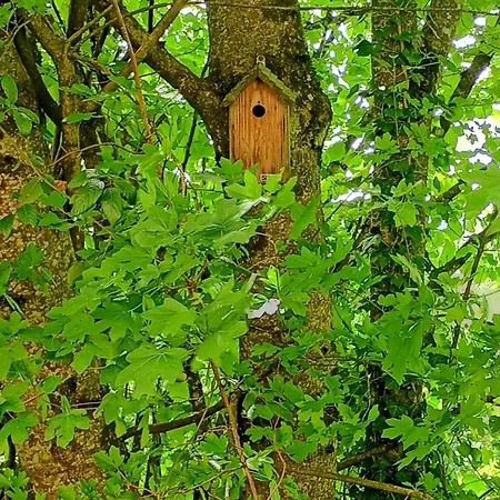 La Ferme Biscot Charme Et Nature A 45 Minutes De Lyon * Ambronay